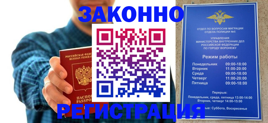 прописка поиск в Михайловке
